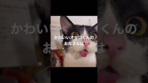 オセロくんのお母さん