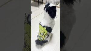 【節分】オセロが鬼に！？