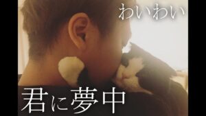 【わいわい】君に夢中【オセロ】#shorts