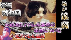 【わいわい】自身の持つ仕事感と愛猫オセロの近況について話すわいわい
