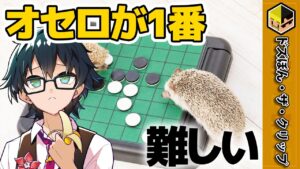 オセロが苦手なおんりー〜オセロが1番ムズい〜【おんりー】【ドズル社】【切り抜き】