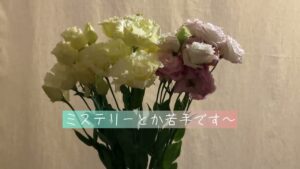 オセロの黒【マルポメ・ポメマル】No.126　＃ショート