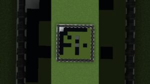 【マイクラ】この後どうなる?パート2  黒と緑のオセロ #shorts