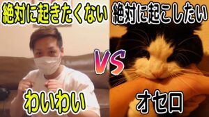 【わいわい】どうしても利害が一致しないオセロとわいわい【雑談】