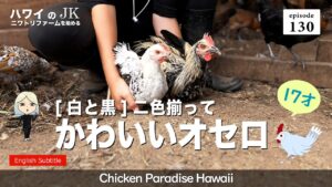 [白と黒] 二色揃ってかわいいオセロ EP130