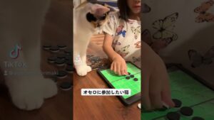 オセロに参加したい猫#shorts