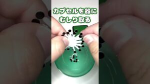 【ガチャ】オセロなのに手軽に遊べない⁉ミニチュアオセロコレクション回してみた
