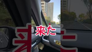 友達を車から煽った結果 #オセロ