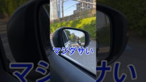 ドライブ中にダサいバイク煽った結果 #オセロ