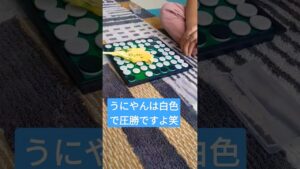 【オセロは得意です！】#かわいい #毎日投稿 #boy #セキセイインコ #birds #ゲーム#shorts