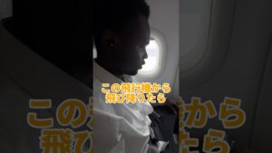 飛行機から飛び降りてみた #オセロ