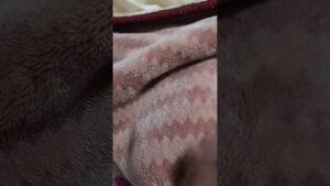 今日のおはよ(オセロver)