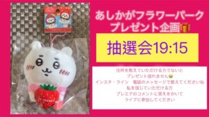 ちいかわプレゼント🎁抽選と藤枝さんとオセロ対決ライブ