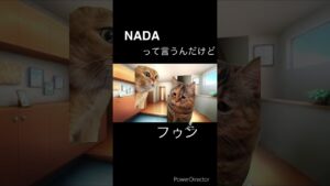 小学生の僕がオセロで天下の灘高生にボコされるまでの道のり⑤#猫ミーム#灘校文化祭