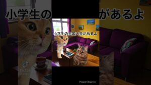 小学生の僕がオセロで天下の灘高生にボコされるまでの道のり③猫ミーム