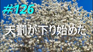 【ライブ】まるでオセロのように！　2024/04/09
